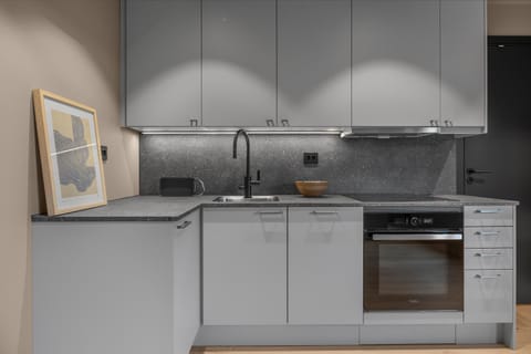 Kitchen or kitchenette, dishwasher, stove