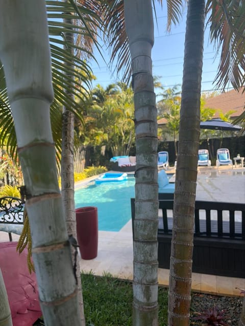 POOLSIDE MANOR - Men Only Clothing-Optional Bed and Breakfast in Wilton Manors