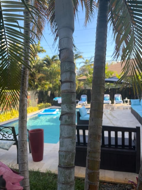 POOLSIDE MANOR - Men Only Clothing-Optional Bed and Breakfast in Wilton Manors