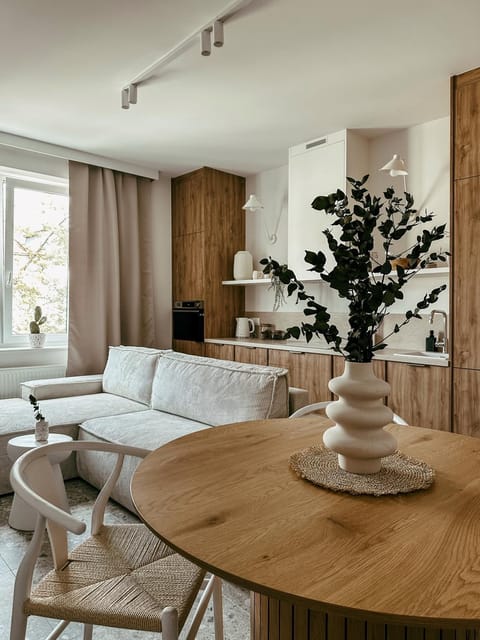 Kitchen or kitchenette, Living room, Seating area, Dining area