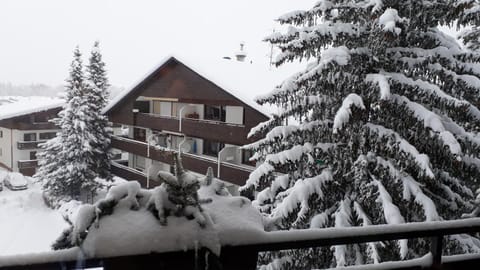 Apartment Bergblick 2 Apartment in Salzburgerland