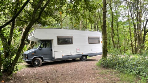 Surfer Mammut Campground/ 
RV Resort in Ipswich