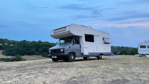 Surfer Mammut Campground/ 
RV Resort in Ipswich