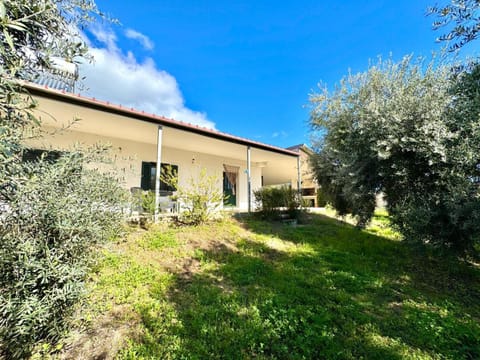 Property building, Garden, Garden view
