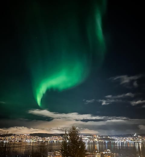 Night, Natural landscape