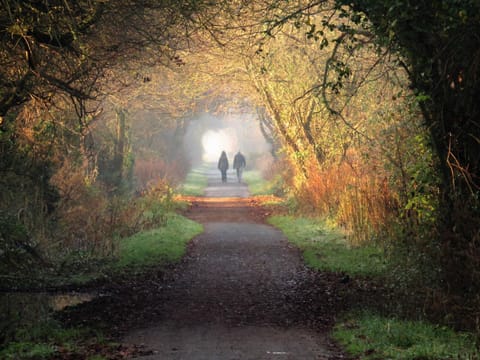 Natural landscape, Activities, Hiking