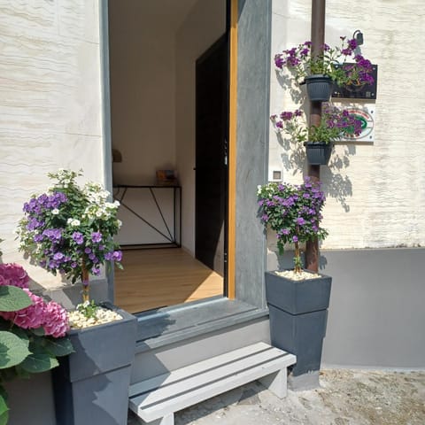 Property building, Spring