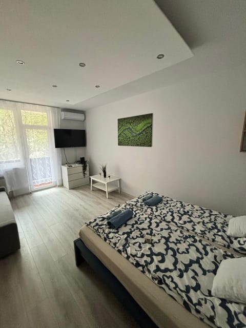 Nemes Apartman Apartment in Szeged