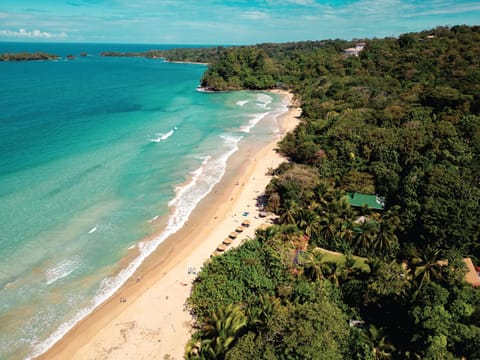 Day, Natural landscape, Bird's eye view, Beach, Sea view
