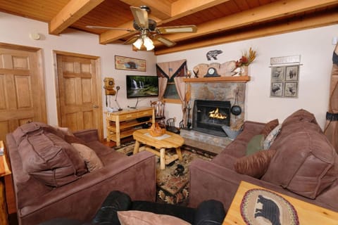 Living room, fireplace