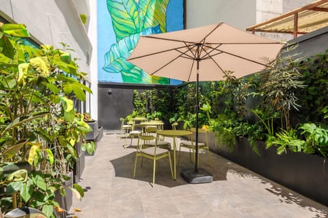 Colima 340 by Wynwood House Apartment in Mexico City