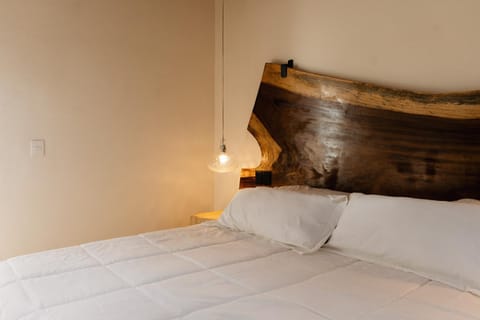 Lujosa Casa con Piscina en el Corazón de Oaxaca House in Oaxaca