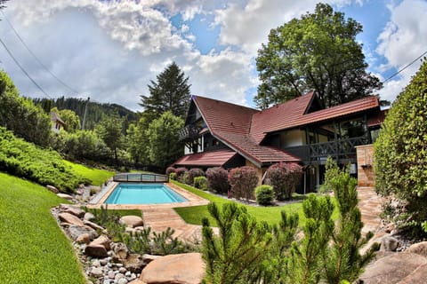 Summer, Garden, Garden view, Pool view, Swimming pool, Swimming pool