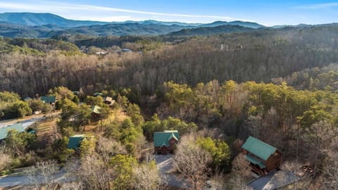 Can't Bear to Leave By Colonial Properties House in Pigeon Forge