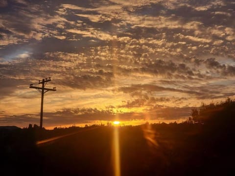 Exotic Gem Relaxing Farm Vibes Near Safari Zoo, Legoland & Wineries House in San Pasqual Valley