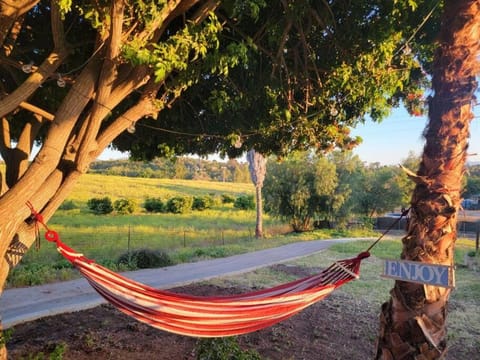 Exotic Gem Relaxing Farm Vibes Near Safari Zoo, Legoland & Wineries House in San Pasqual Valley