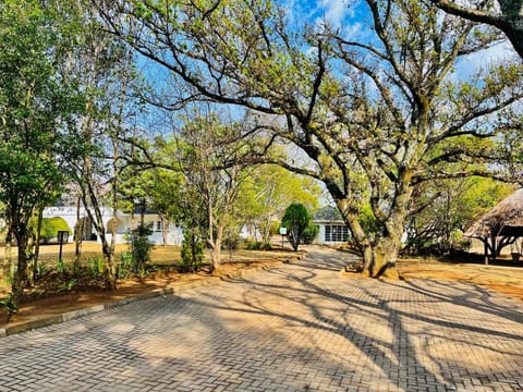 Natural landscape, Garden