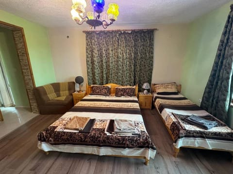 Bed, Living room, Photo of the whole room, Seating area