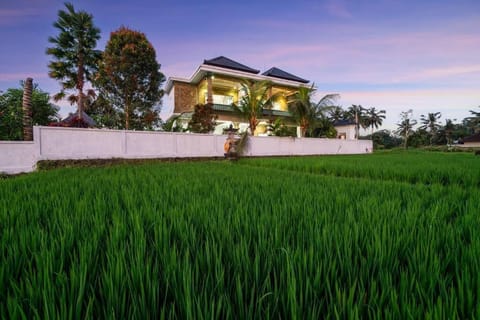 Didori Art Villa - serene view of green and sunset Villa in Ubud