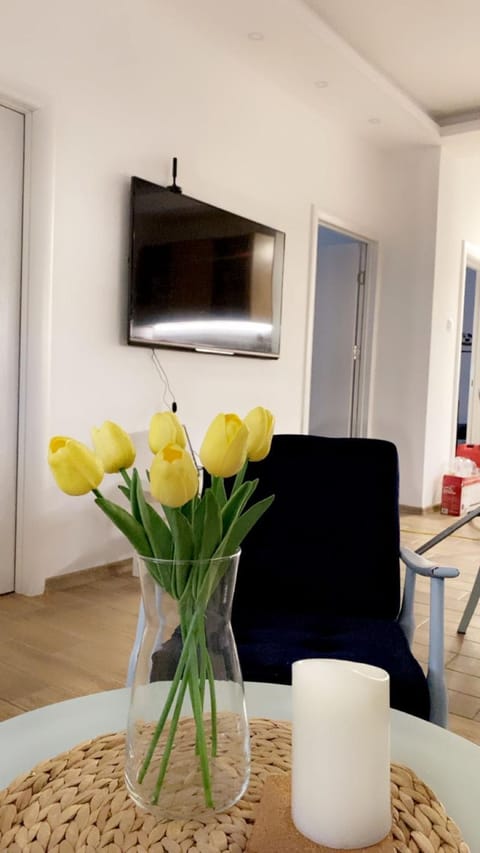 Vanja Apartman Apartment in Vojvodina