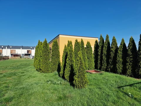 Natural landscape, Garden, Garden view