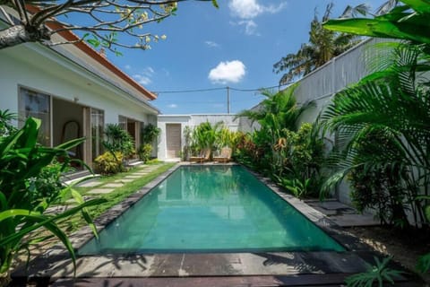 Swimming pool, Swimming pool, sunbed