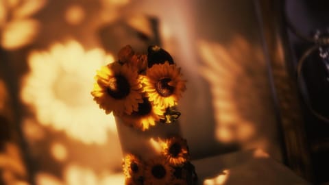 Sunflower Place - dimora del girasole Apartment in San Giovanni Rotondo