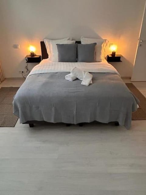 Wonderful central 2BR Ghent apt w view on Leie Apartment in Ghent