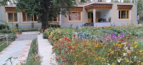 Day, Garden