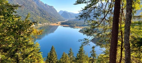 Gästehaus Kaiserwinkl Apartment in Salzburgerland