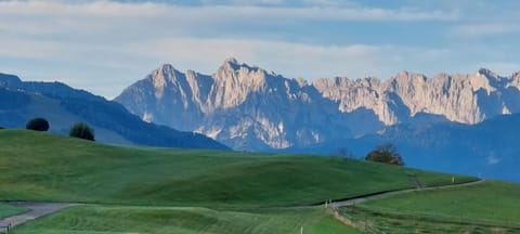 Gästehaus Kaiserwinkl Apartment in Salzburgerland