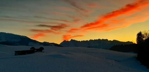 Gästehaus Kaiserwinkl Apartment in Salzburgerland