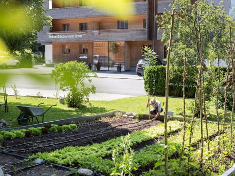 Property building, Spring, Garden, Garden view