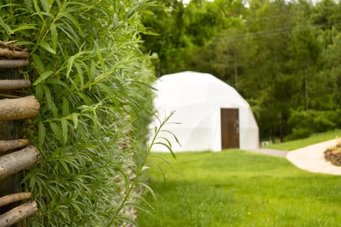 Day, Natural landscape, Garden, Garden view