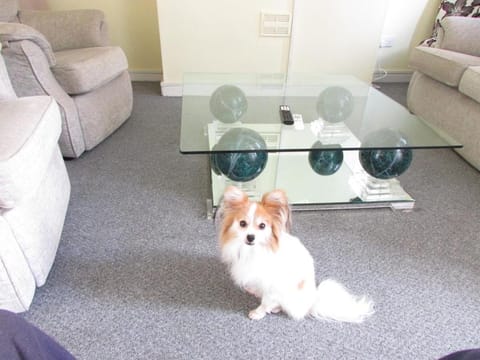 Perfect house for professionals House in Manchester