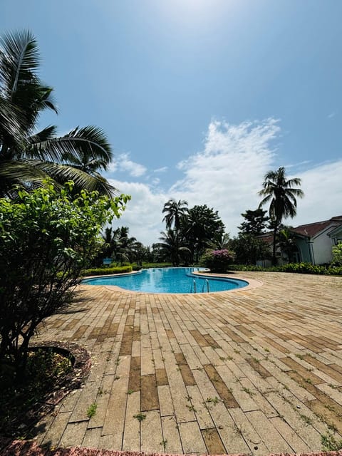 Day, Pool view, Swimming pool, sunbed