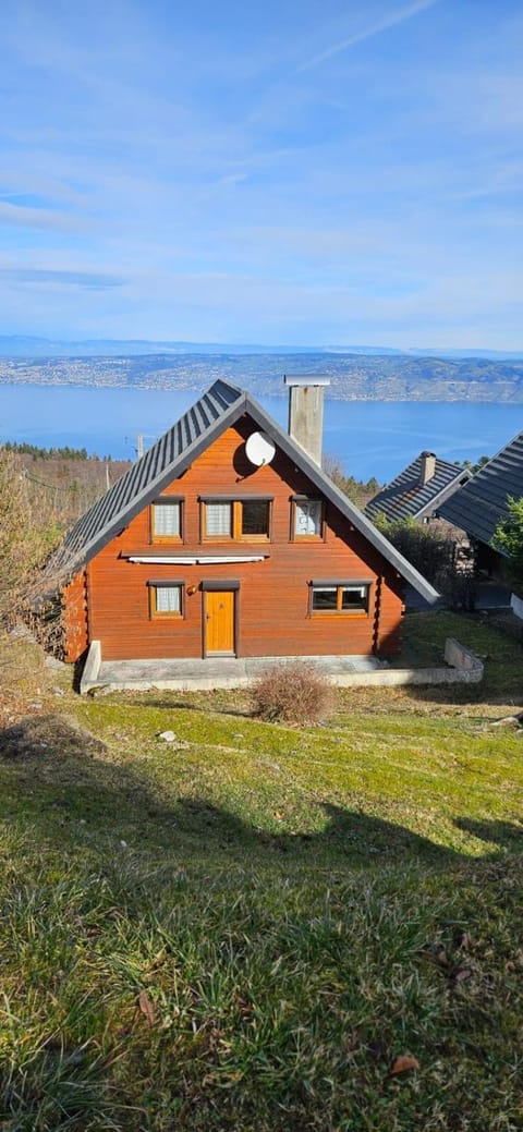 Lake view