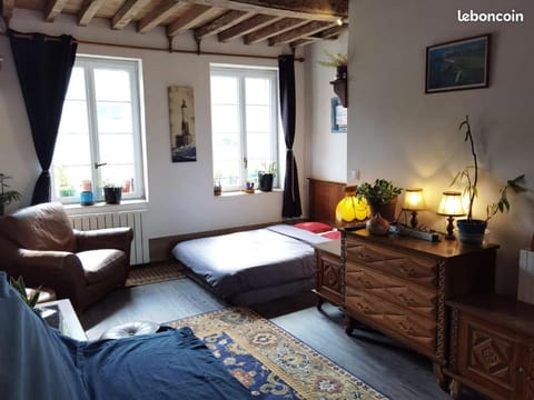 Centre ville plage à 1500m gare à 500m Apartment in Normandy