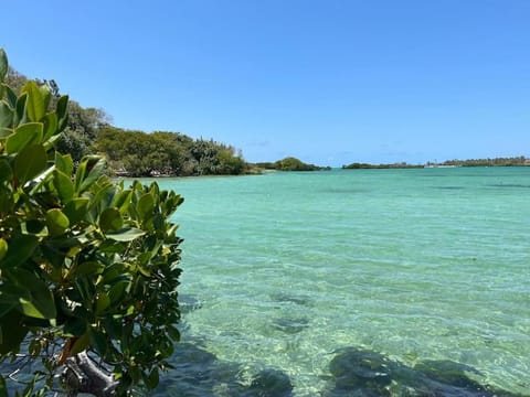 Beach, Sea view