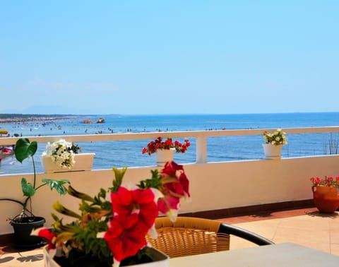 Summer, Balcony/Terrace