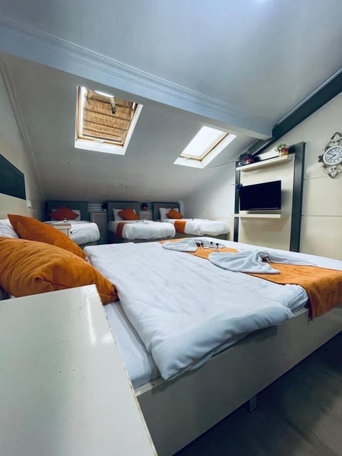 Bed, TV and multimedia, Photo of the whole room, Bedroom