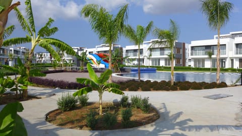 Property building, Garden, Garden view, Pool view, Swimming pool