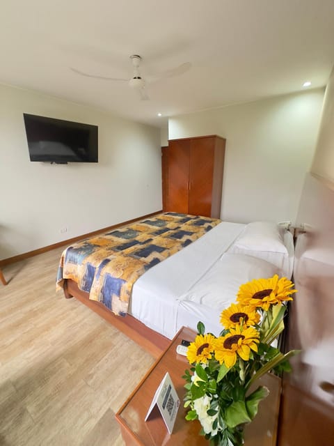 Bed, TV and multimedia, Photo of the whole room, Bedroom