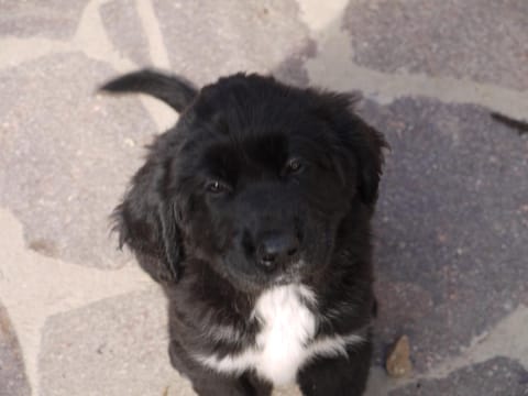 Su Trabi B&B Bed and Breakfast in Sardinia