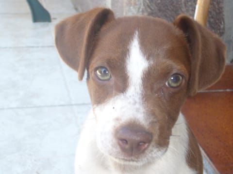 Su Trabi B&B Bed and Breakfast in Sardinia