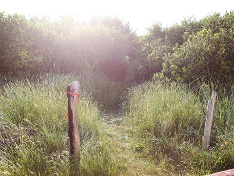 Morning Glory Resort & Suite Hotel in Ocean Shores