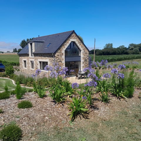 Property building, Garden view