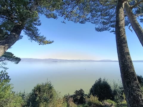 La Gatta sul Tetto Apartment in Castiglione del Lago