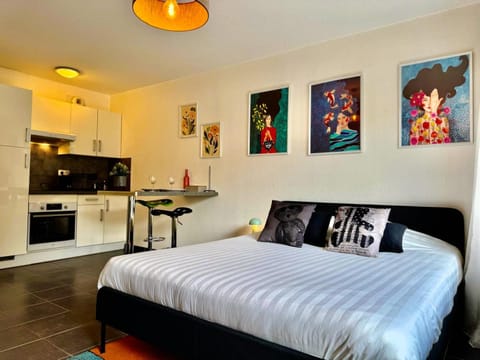 Appartement Frontalier 1 Apartment in Saint-Julien-en-Genevois