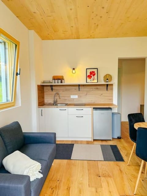 Apartment Kovacic - Lake Bled Apartment in Carinthia, Austria